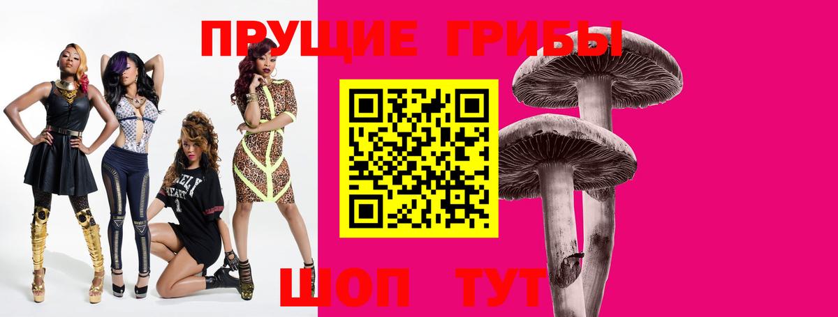 Кореновск  Галлюциногенные грибы Cubensis  Вход с VPN 