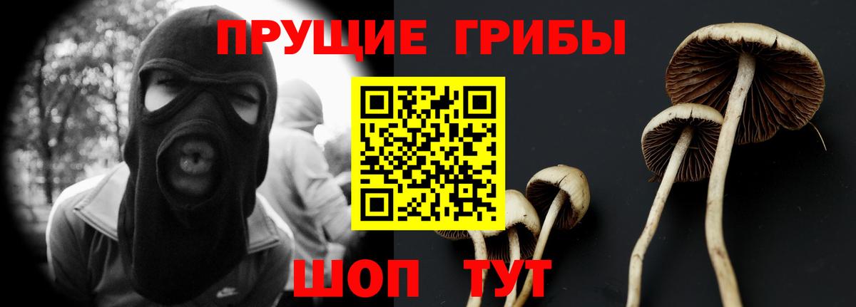Псилоцибиновые грибы Magic Shrooms Кореновск